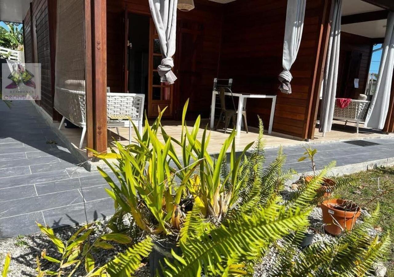Piscine, Plages Bois Jolan Et Du Bourg, Jardin & Parking Prives, Sainte-Anne - Villas Orchyd & Ka ภายนอก รูปภาพ